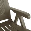 vidaXL Garden Reclining Chairs 2 pcs Plastic Mocca