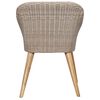 vidaXL Outdoor Chairs with Cushions 2 pcs Poly Rattan Brown