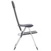 vidaXL Folding Camping Chairs 2 pcs Grey Aluminium