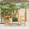 vidaXL Bar Chairs 2 pcs Solid Acacia Wood