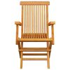 vidaXL Folding Garden Chairs 4 pcs Solid Teak Wood