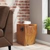 vidaXL Stool Solid Teak Wood