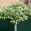 Product Thumbnail Image 4 of 13