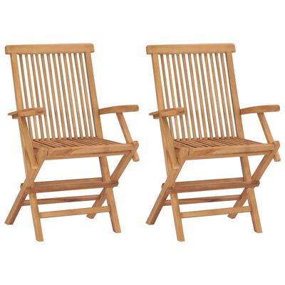 vidaXL Folding Garden Chairs 2 pcs Solid Teak Wood