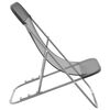 vidaXL Folding Beach Chairs 2 pcs Grey Textilene&Powder-coated Steel