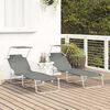 vidaXL Folding Sun Lounger with Canopy Steel Grey