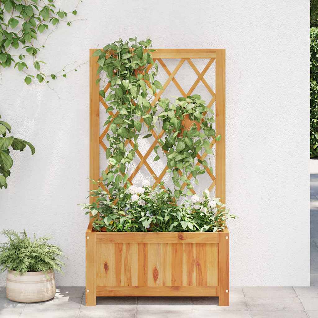 vidaXL Garden Raised Bed with Trellis Solid Acacia Wood