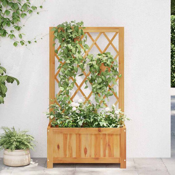 vidaXL Garden Raised Bed with Trellis Solid Acacia Wood