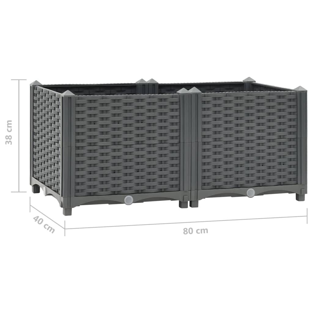 vidaXL Raised Bed 80x40x38 cm Polypropylene