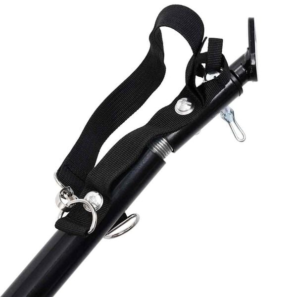 vidaXL 2-in-1 Pet Bike Trailer & Jogging Stroller Red and Grey