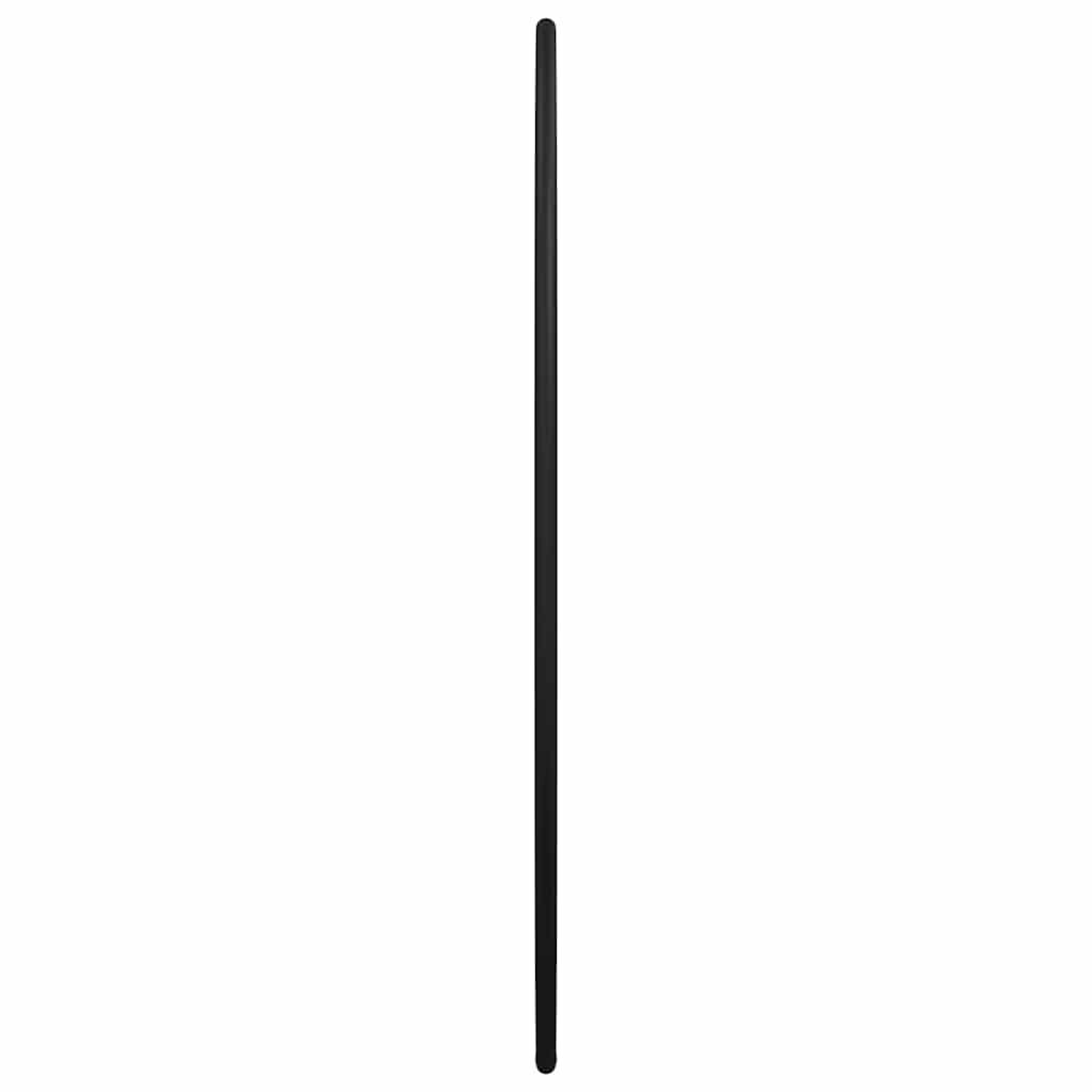 vidaXL Wall Mirror Black Ø 40 cm Round