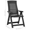vidaXL Garden Reclining Chairs 2 pcs Plastic Anthracite