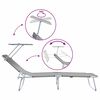 vidaXL Folding Sun Lounger with Canopy Steel Grey