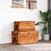 vidaXL Storage Chest Set 2 Pieces Rough Mango Wood