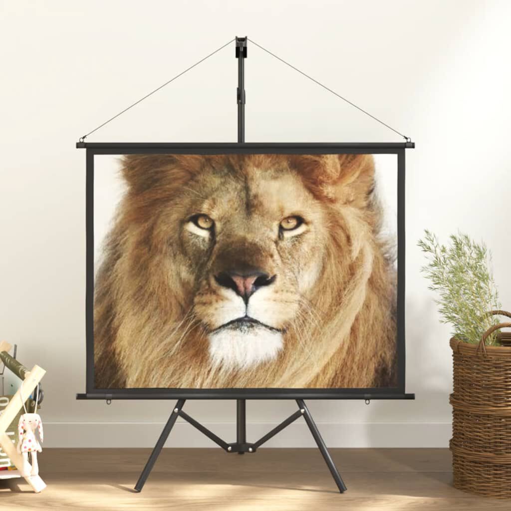 vidaXL Projection Screen with Tripod 50" 4:3