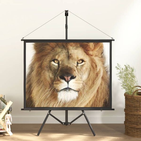 vidaXL Projection Screen with Tripod 50" 4:3