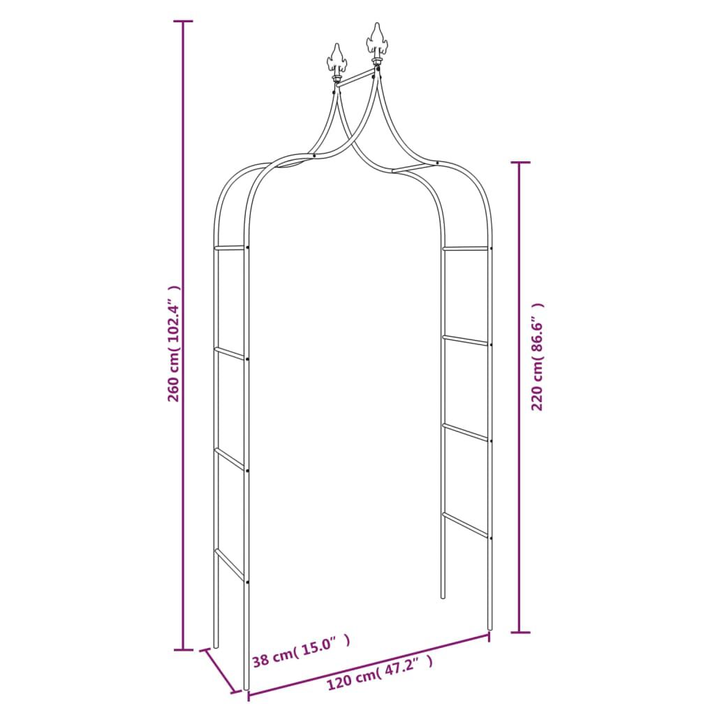 vidaXL Garden Arches 2 pcs Black 120x38x260 cm Steel