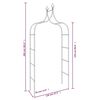 vidaXL Garden Arches 2 pcs Black 120x38x260 cm Steel