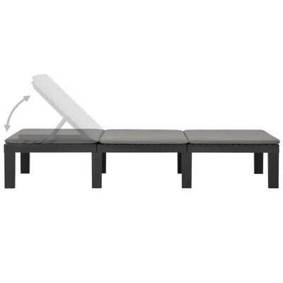 vidaXL Sun Lounger with Cushion Plastic Anthracite, anthracite vidaXL Sun Lounger with Cushion Plastic Anthracite