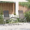 vidaXL Folding Camping Chairs 2 pcs Grey Aluminium