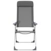 vidaXL Folding Camping Chairs 2 pcs Grey Aluminium