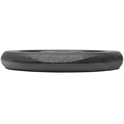 vidaXL Weight Plates 4 pcs 2x10 kg+2x5 kg Cast Iron,  vidaXL Weight Plates 4 pcs 2x10 kg+2x5 kg Cast Iron