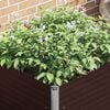 Product Thumbnail Image 4 of 13