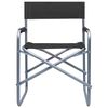 vidaXL Director's Chairs 2 pcs Steel Black
