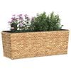 Product Thumbnail Image 3 of 19