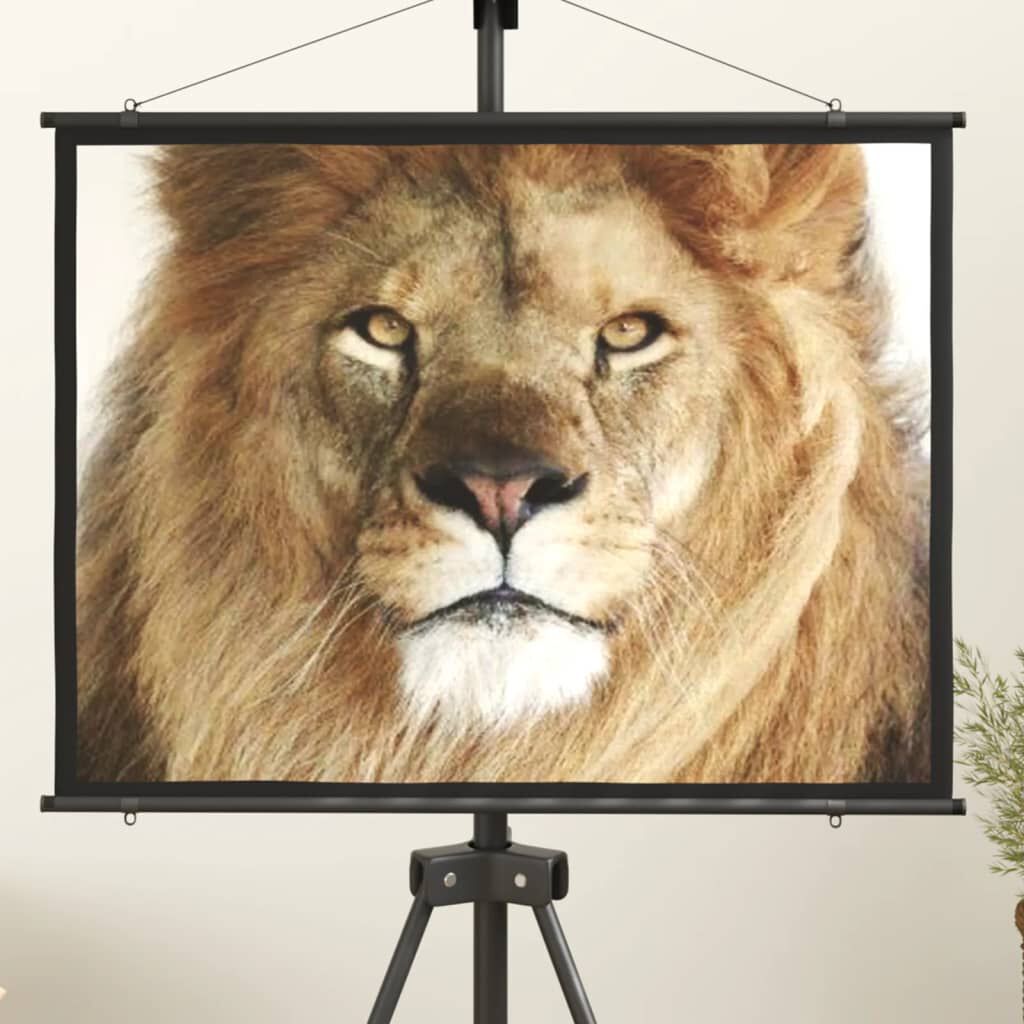 vidaXL Projection Screen 50" 4:3