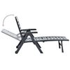 vidaXL Folding Sun Lounger Plastic Anthracite