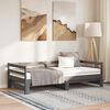 vidaXL Pull-out Day Bed without Mattress Grey 2x(90x200)cm