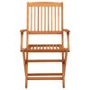vidaXL Folding Garden Chairs 4 pcs Solid Eucalyptus Wood