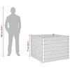 Product Thumbnail Image 13 of 13