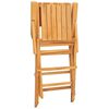 vidaXL Folding Garden Chairs 2 pcs 55x61x90 cm Solid Wood Teak