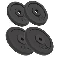 vidaXL Weight Plates 4 pcs 2x10 kg+2x5 kg Cast Iron,  vidaXL Weight Plates 4 pcs 2x10 kg+2x5 kg Cast Iron