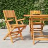 vidaXL Folding Garden Chairs 2 pcs 55x61x90 cm Solid Wood Teak