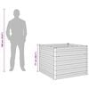 Product Thumbnail Image 13 of 13