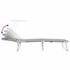 vidaXL Folding Sun Lounger with Canopy Steel Grey