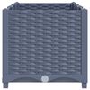 Product Thumbnail Image 4 of 9