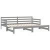 vidaXL Pull-out Day Bed without Mattress Grey 2x(90x200)cm