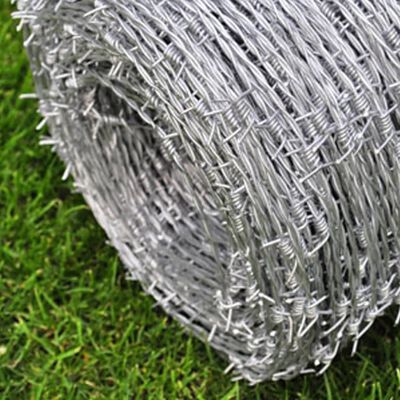 Barbed Wire 500 m.,  Barbed Wire 500 m.