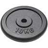 vidaXL Weight Plates 2 pcs 2x10 kg Cast Iron