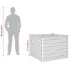 Product Thumbnail Image 13 of 13
