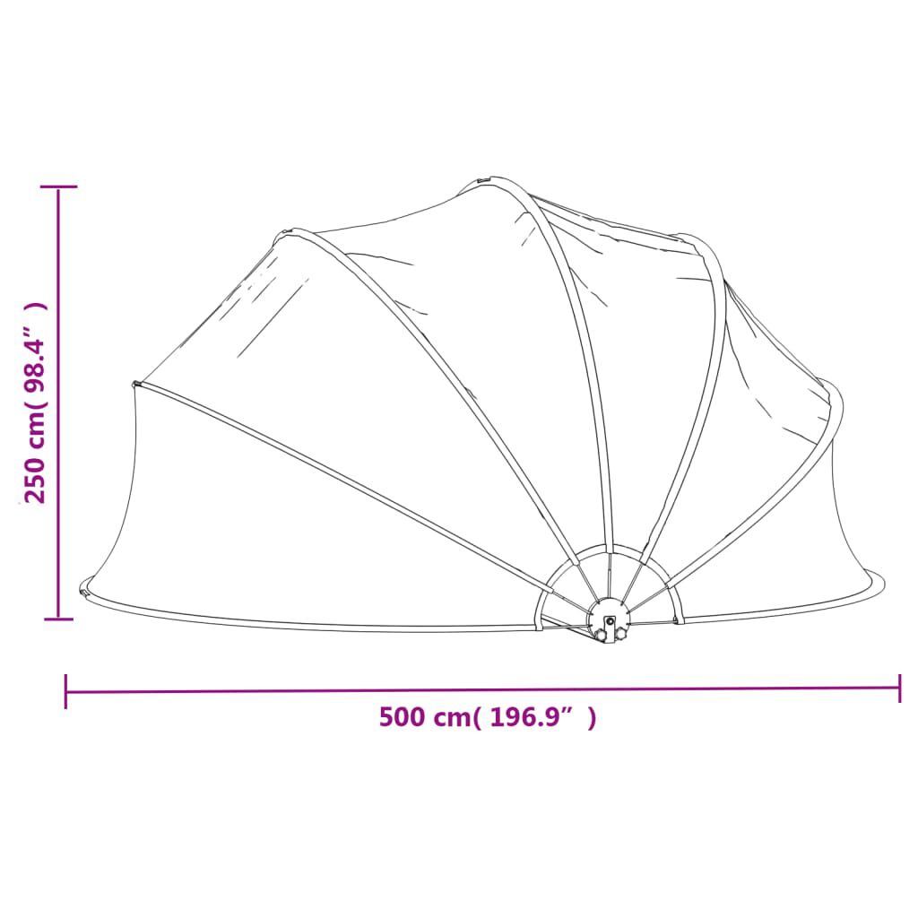 vidaXL Pool Dome 500x250 cm