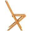 vidaXL Folding Garden Chairs 2 pcs 47x63x90 cm Solid Wood Teak