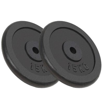 vidaXL Weight Plates 2 pcs 2x15 kg Cast Iron,  vidaXL Weight Plates 2 pcs 2x15 kg Cast Iron