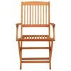 vidaXL Folding Garden Chairs 2 pcs Solid Eucalyptus Wood