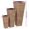 vidaXL Raised Beds 3 pcs Water Hyacinth Brown