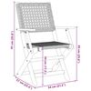 vidaXL Folding Garden Chairs 8 pcs Black Poly Rattan and Solid Wood